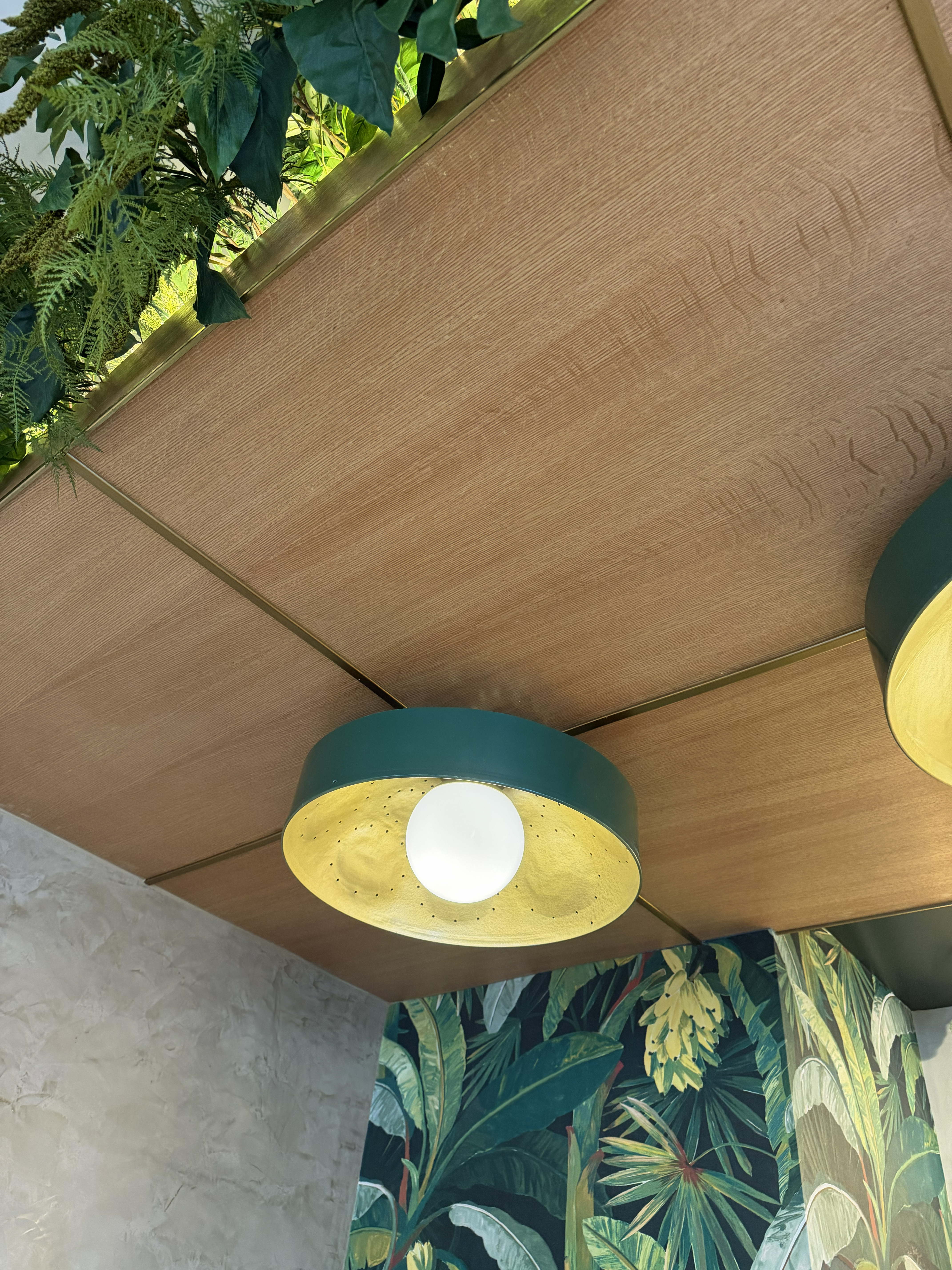 Haam ceiling and lighting